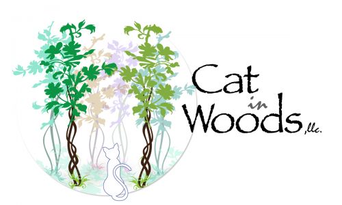 Cat in Woods, llc